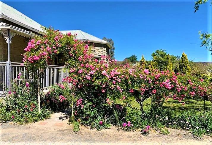 Jack Of The Karoo Vila Sutherland Exterior foto